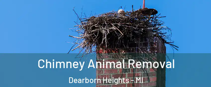 Chimney Animal Removal Dearborn Heights - MI
