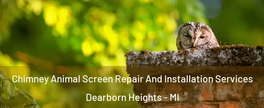  Chimney Animal Screen Repair And Installation Services Dearborn Heights - MI