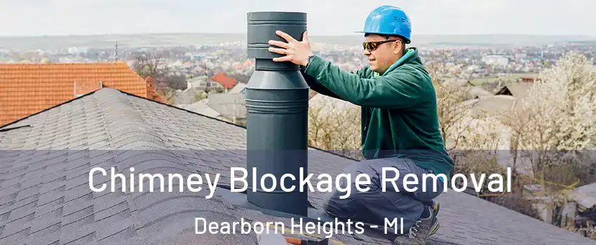  Chimney Blockage Removal Dearborn Heights - MI