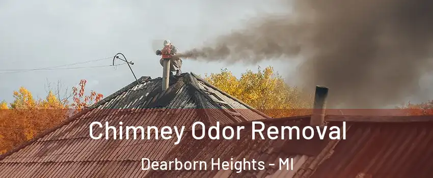  Chimney Odor Removal Dearborn Heights - MI