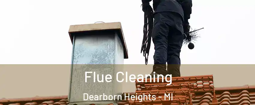  Flue Cleaning Dearborn Heights - MI