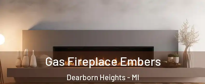  Gas Fireplace Embers Dearborn Heights - MI