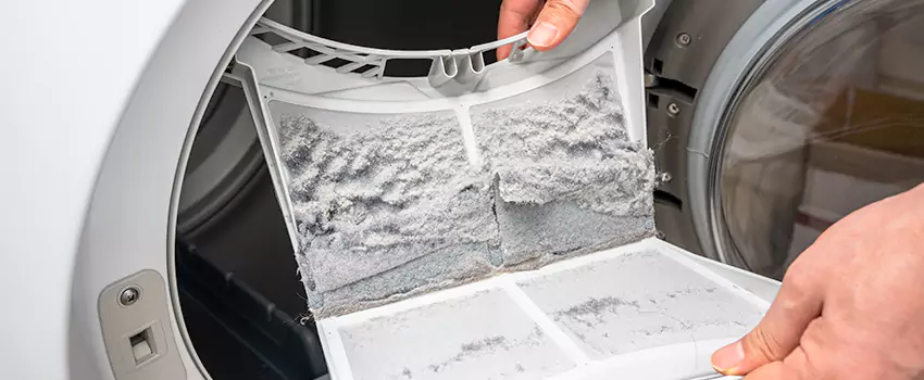 Best Dryer Lint Removal Company in Dearborn Heights, Michigan