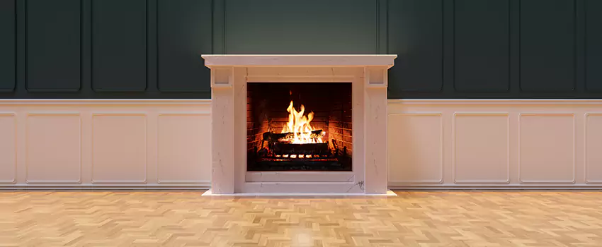 Napoleon Electric Fireplaces Inspection Service in Dearborn Heights, Michigan