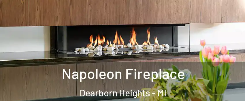  Napoleon Fireplace Dearborn Heights - MI